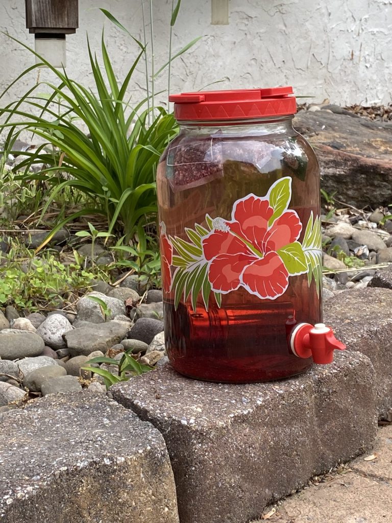 June Herb of the Month: Hibiscus