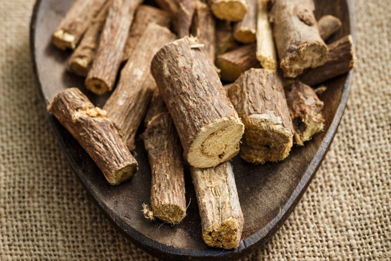 November Herb of the Month:  Licorice Root