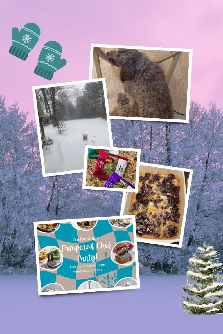 A Warm Hello on This Cold Day